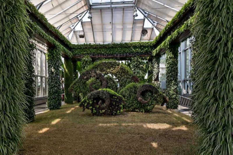 Shanghai Botanical Garden 